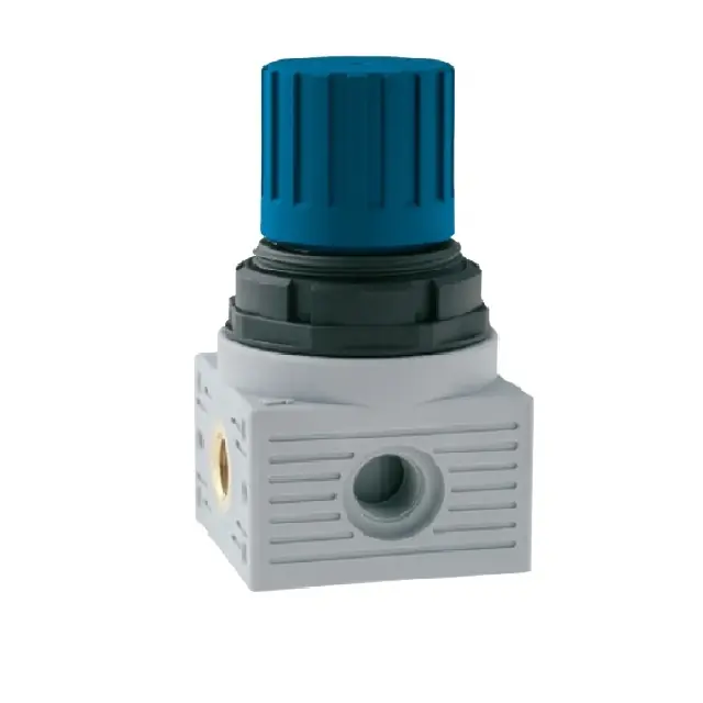 AIGNEP T080 MINI - Regulátor tlaku vody 0-8 bar, G 1/8, šíře 40, výška 74 mm Top Prodej