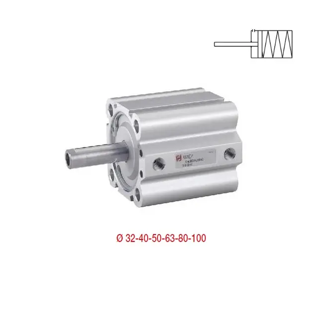 AIGNEP BD32-100 KRÁTKOZDVIŽNÝ VÁLEC - Dn 50 mm, s pružinou, zdvih 30 mm, ØD=16, M12x1,25, šíře E63,5 mm Rychlé Dodání